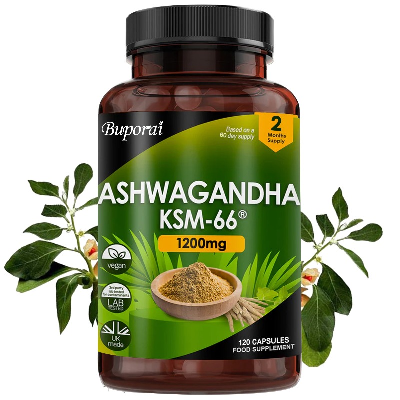 Ginkgo Biloba Extract - Organic KSM-66 Ashwagandha Root Extract Stress