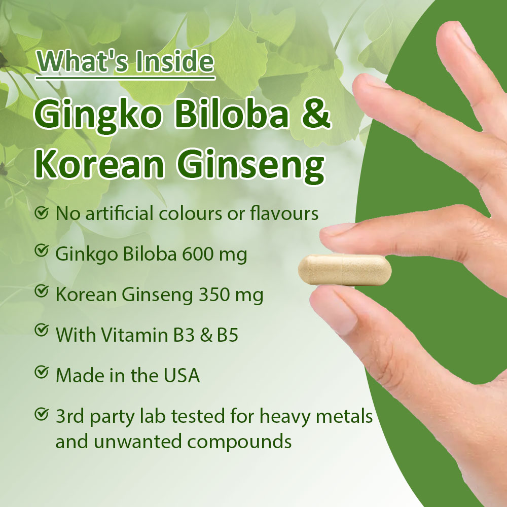 Ginkgo Biloba & Korean Ginseng - đánh giá và giá Ginkgo Biloba Extract