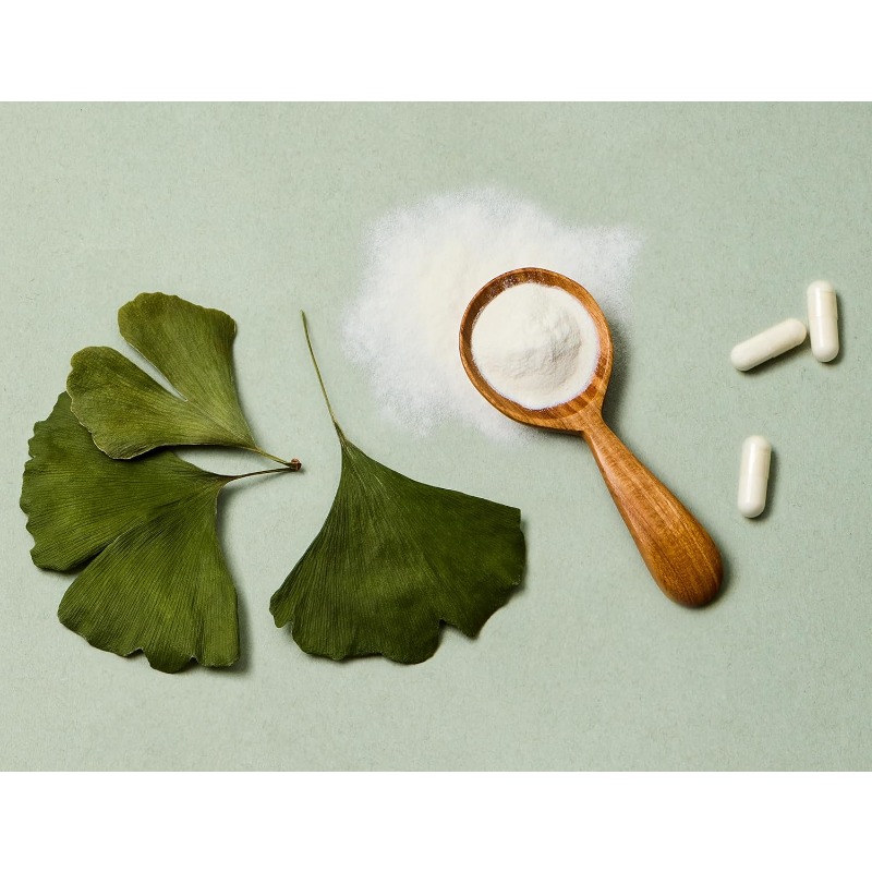 Ginkgo biloba leaf extract cap - đánh giá và giá Ginkgo Biloba Extract