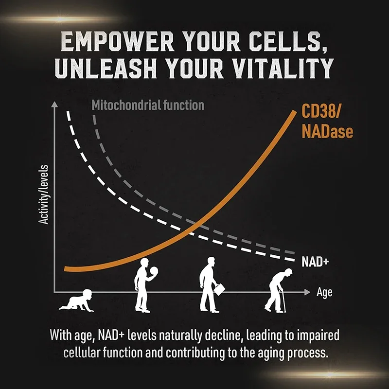 Liposomal NAD Supplement - Sup - đánh giá và giá Ginkgo Biloba Extract